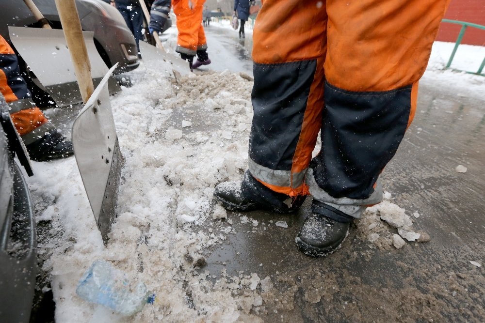    Сергей Михеев/ РГ