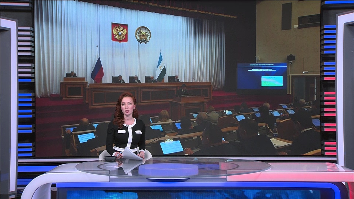    Продажа энергетиков и участки для льготников: что обсудили на заседании Госсобрания Башкортостана