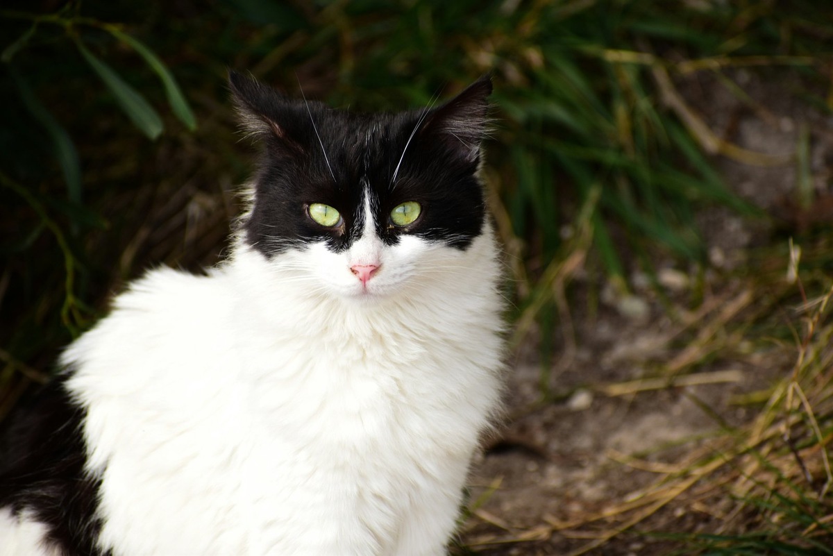    Покраснение глаз — серьезный симптом, который не стоит оставлять без внимания