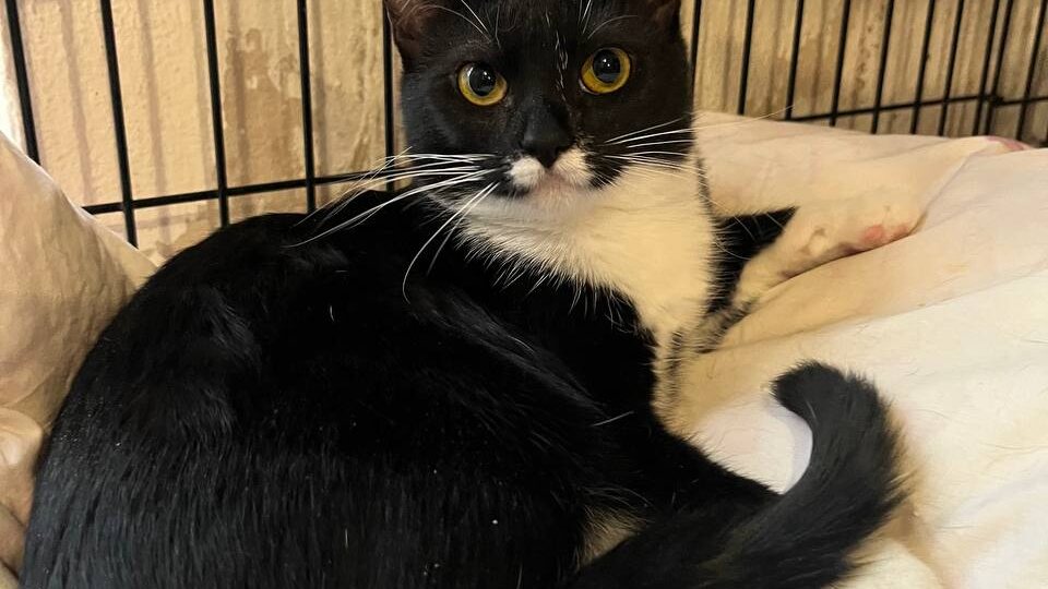 Друг её уехал, а она осталась одна-одинёшенька