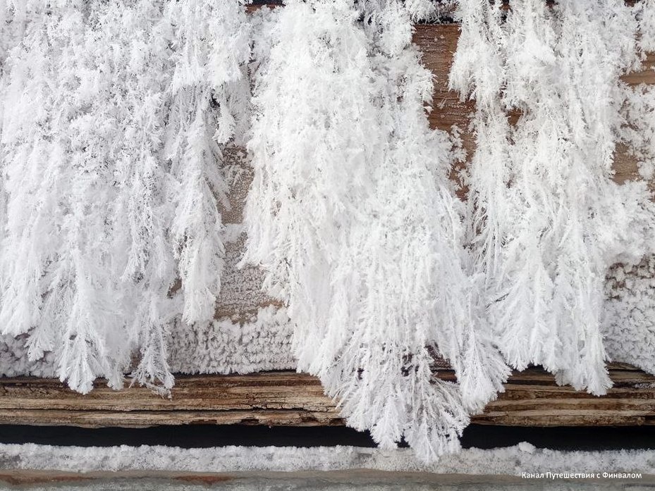 Снежное кружево (фото Эдуард Розанов)