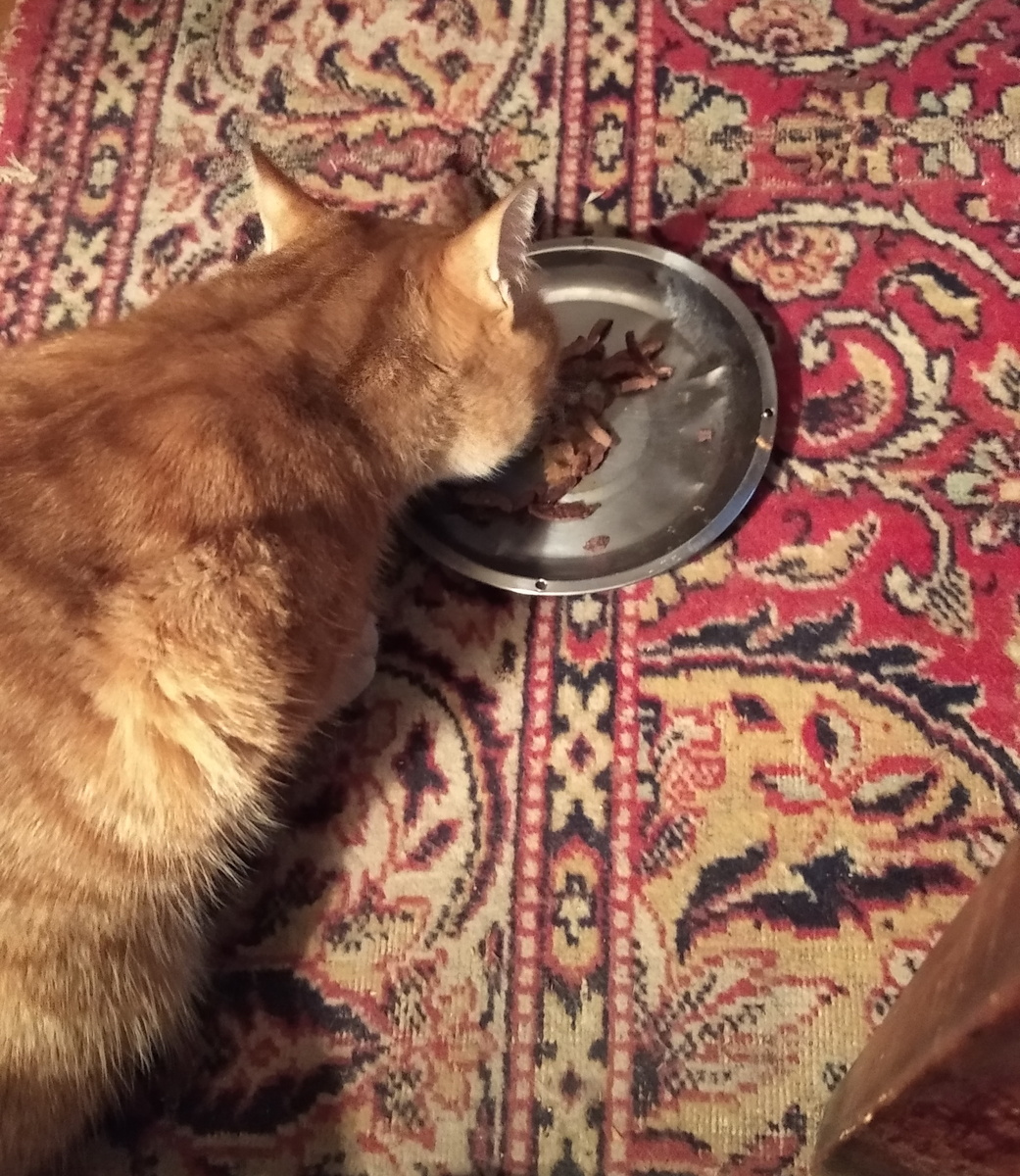 личное фото