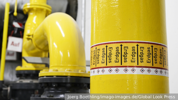     Фото: Joerg Boethling/imago-images.de/Global Look Press   
 Текст: Денис Тельманов