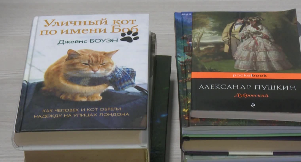    Фото: пресс-служба Правительства республики Ингушетия