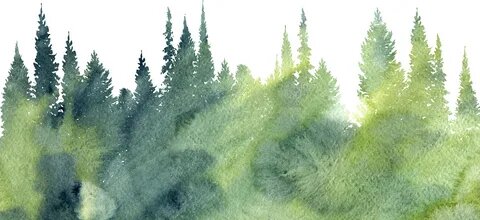 Картинка с интернета.