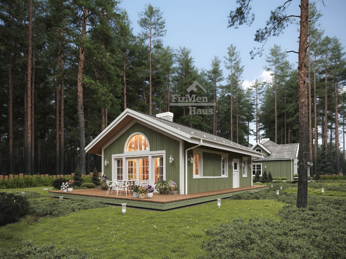 3Д Визуализация проекта Карелия 60