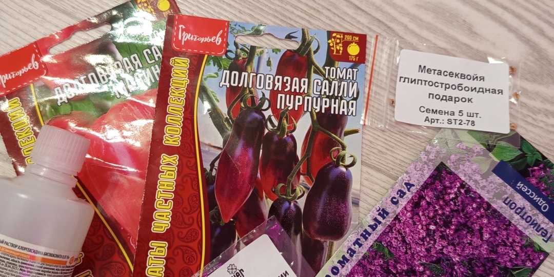 Замачивание семян в хлоргексидине: выгодно и эффективно