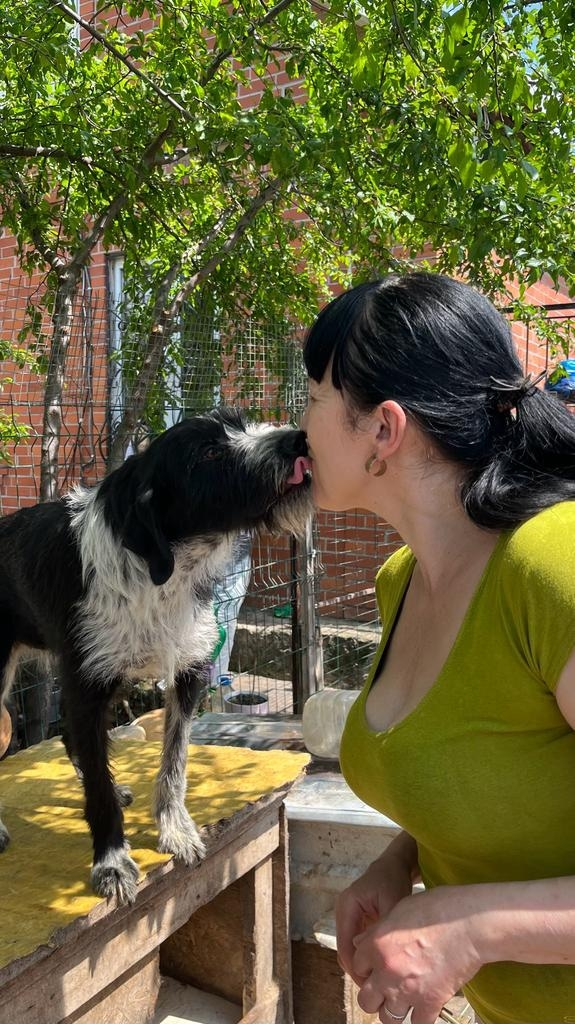 Я в приюте ....