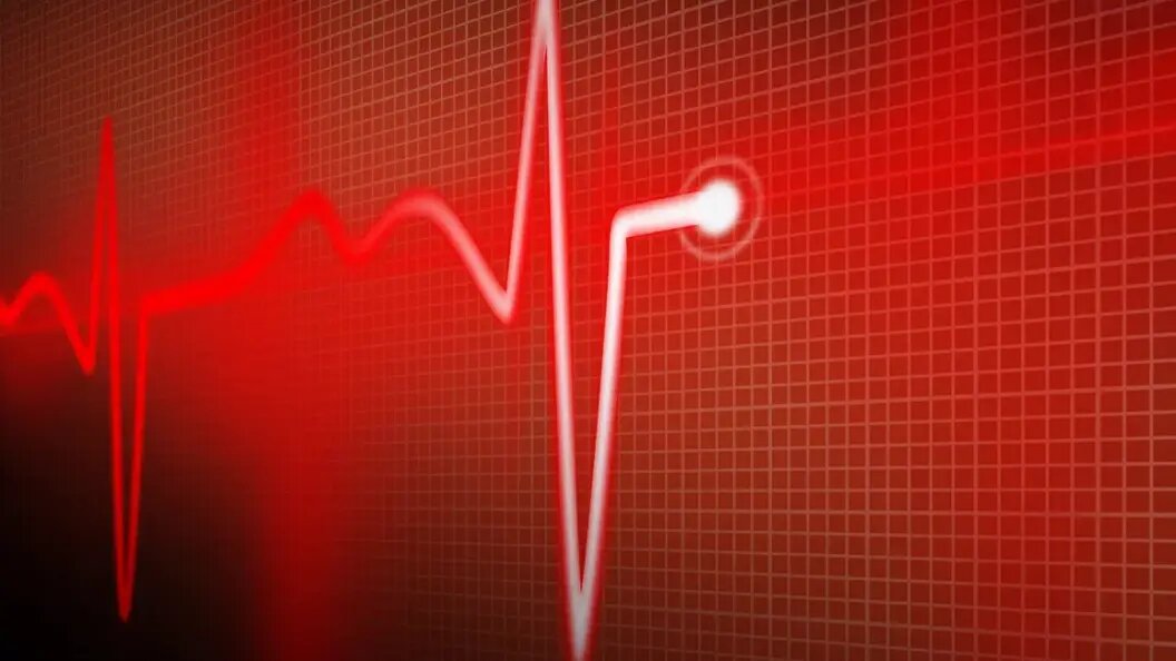    Фото: Царьград