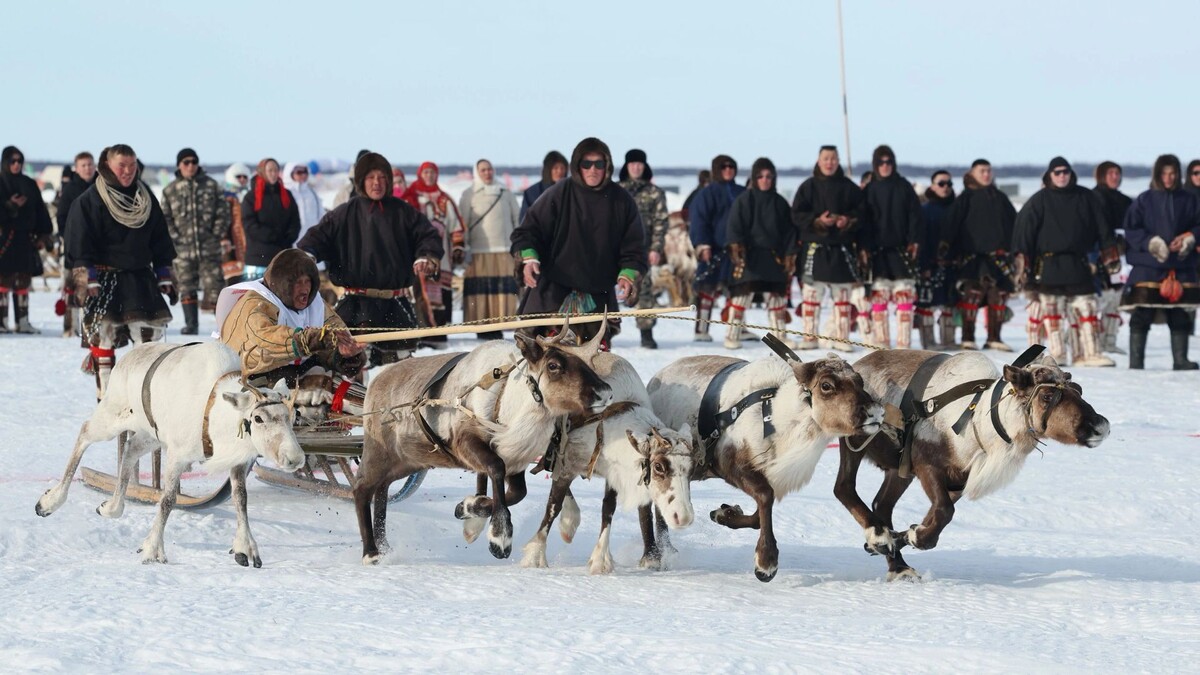    Фото: Андрей Ткачев / «Ямал-Медиа»