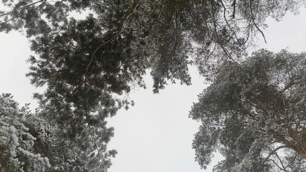    Фото: Телеканал Царьград