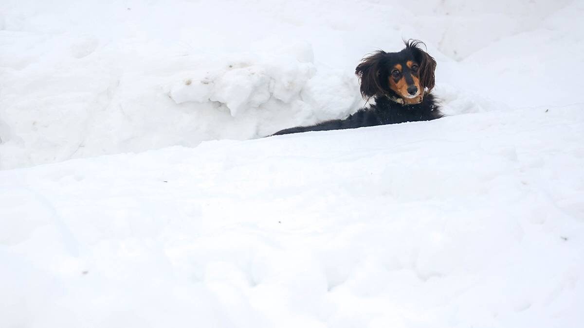    Фото: Ярослав Чингаев / АГН Москва