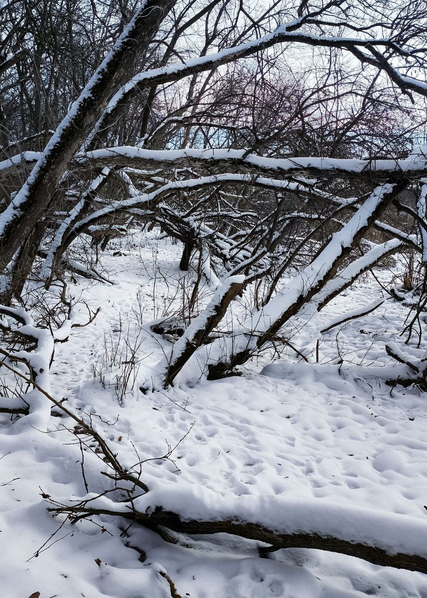 И куда без заснеженной ещё Кубани 🤣