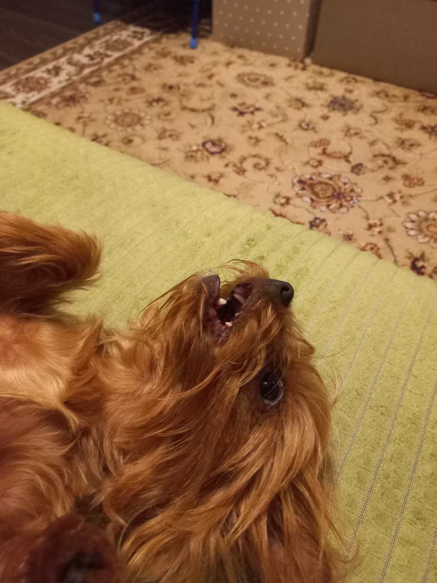 Шок-это по-нашему