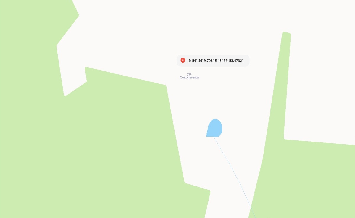 Источник изображения: https://yandex.ru/maps/geo/urochishche_sokolniki/53087589/?ll=44.002405%2C54.936353&z=15.42