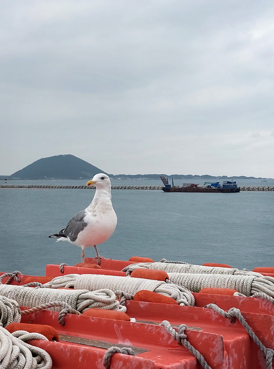 Вдали тает остров Чеджудо. Южная Корея.