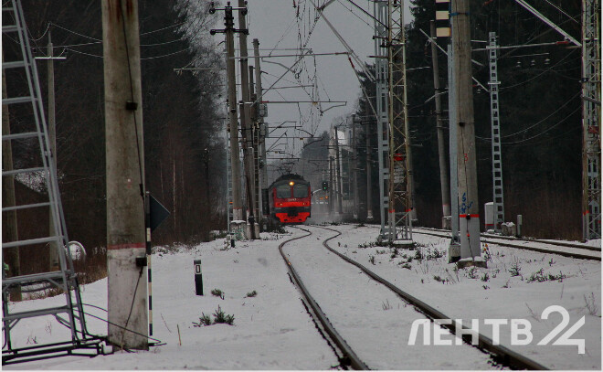    © Анастасия Илюшина / ЛенТВ24, архивное фото