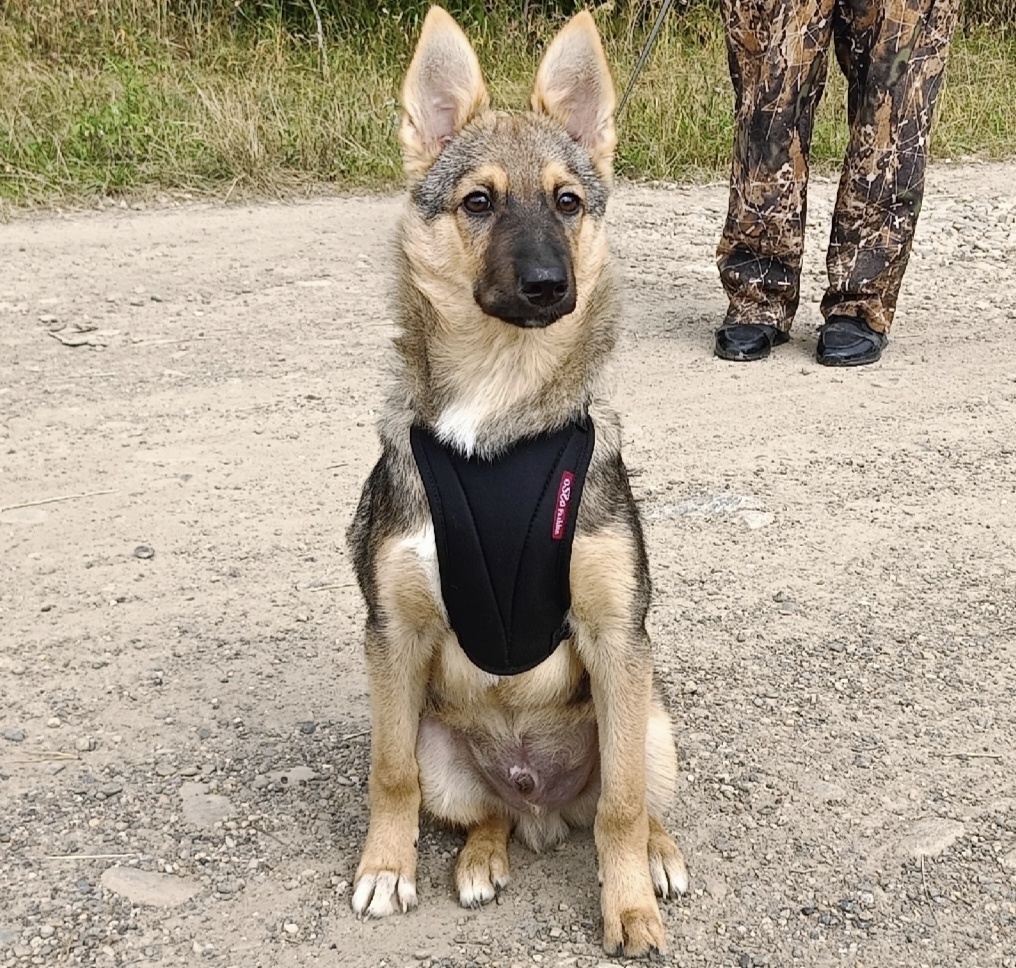 Смотрел на Макса 