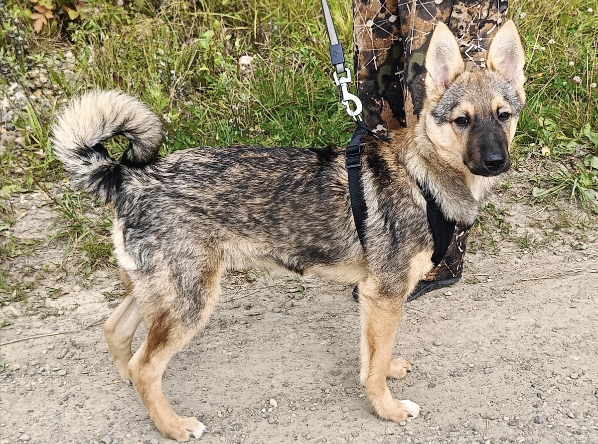 Был очень грустный в первое время 