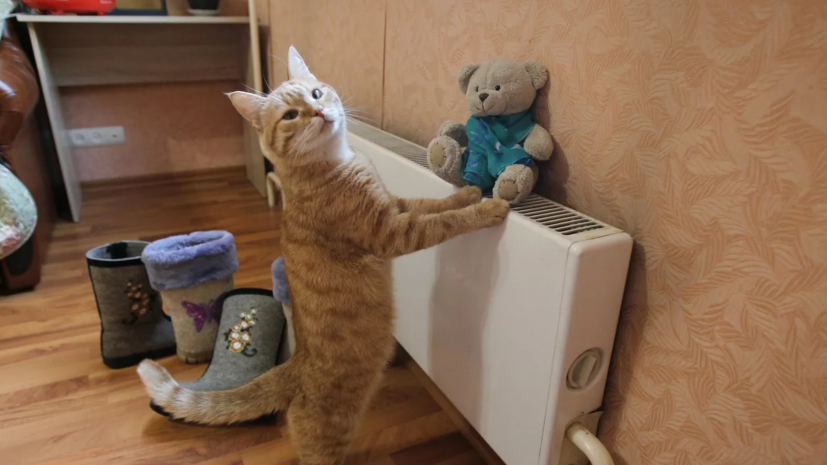   РИА Новости