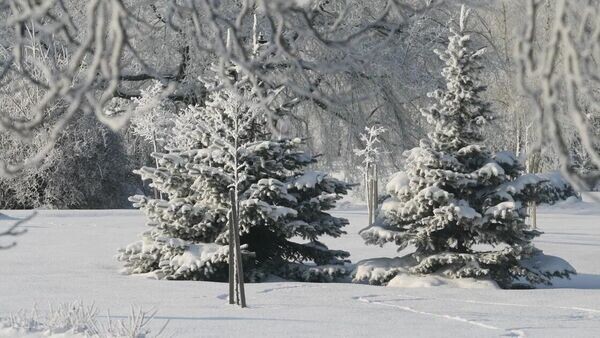    © Sputnik / Василий Малашенков