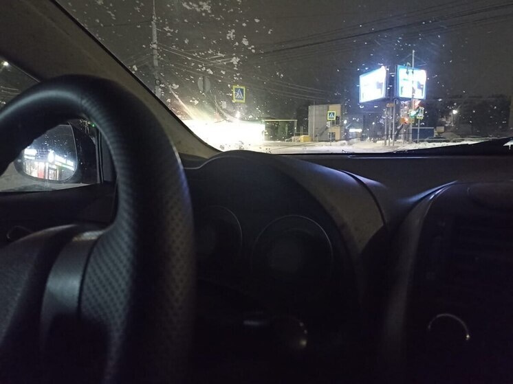     Количество проверок автомобилей этой марки за год увеличилось в 4,5 раза. Фото из архива "МК в Питере"