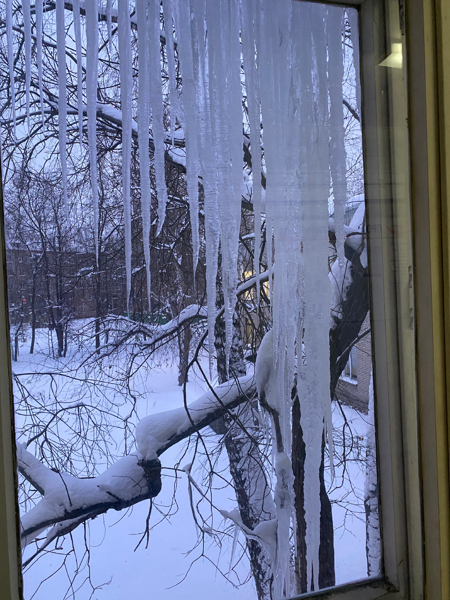Это фото я сделала в нашей поликлинике.