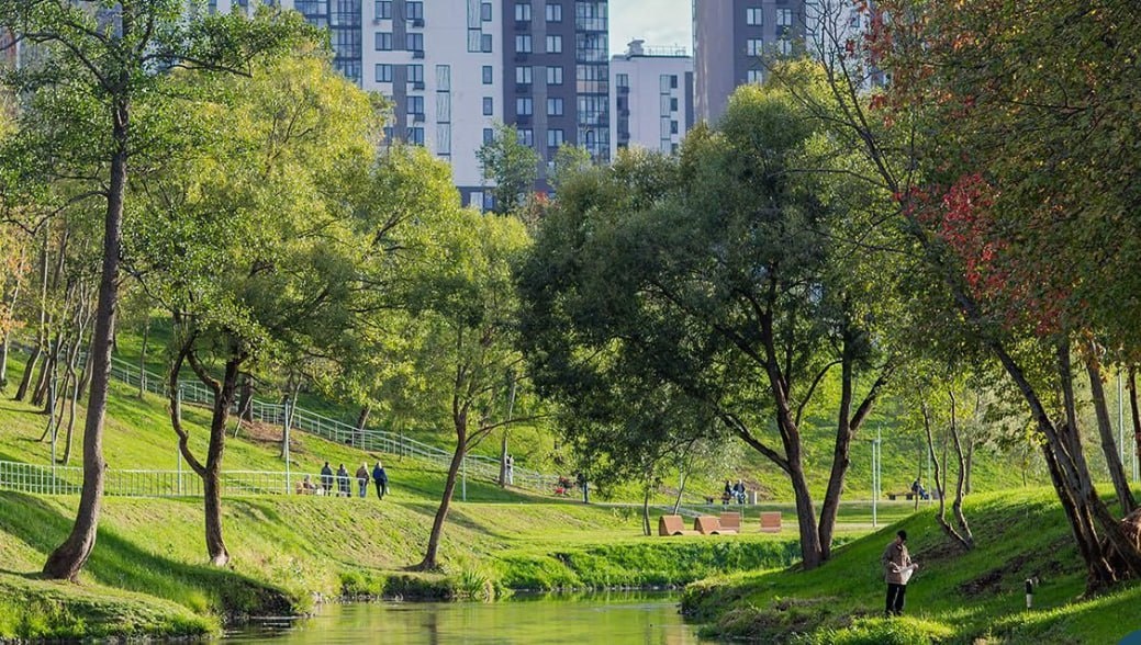 Отличное место для тех, кому не надо каждый день ездить на работу. Новая Москва. 