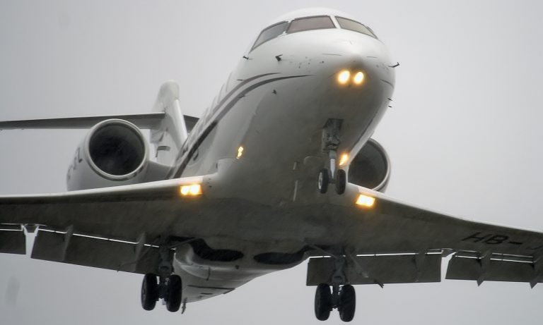    Фото: wikimedia commons / Artem Katranzhi from Bakashikha, Russia, CC BY-SA 2.0 Илья Куликов