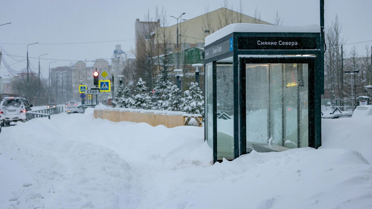    Фото: Сергей Зубков / «Ямал-Медиа»