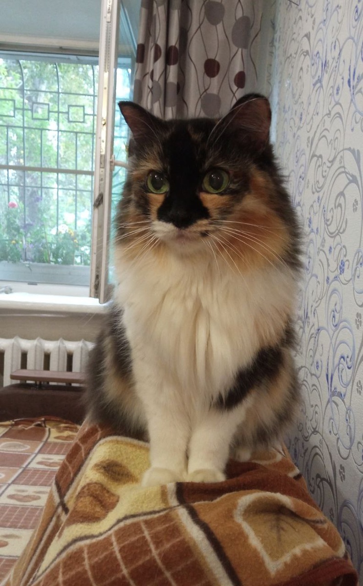 Катя, котик мой.