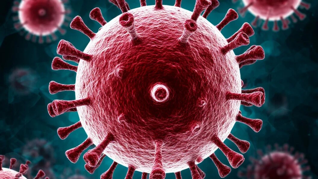    фото: Коллаж Царьграда