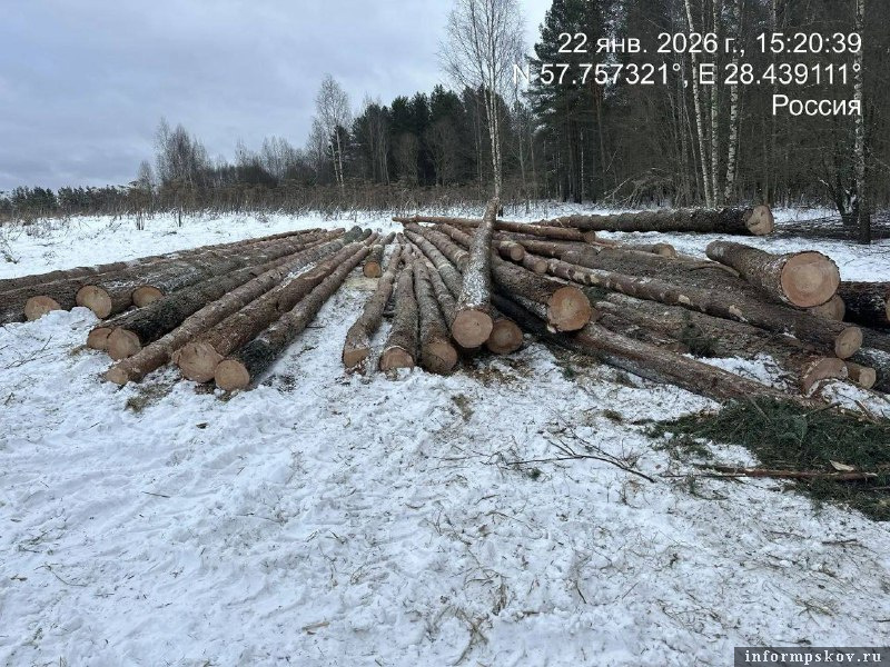 Фото: пресс-служба прокуратуры Псковской области