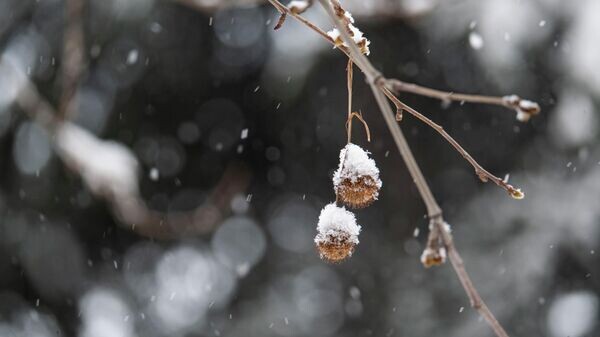    © РИА Новости Крым . Дмитрий Макеев