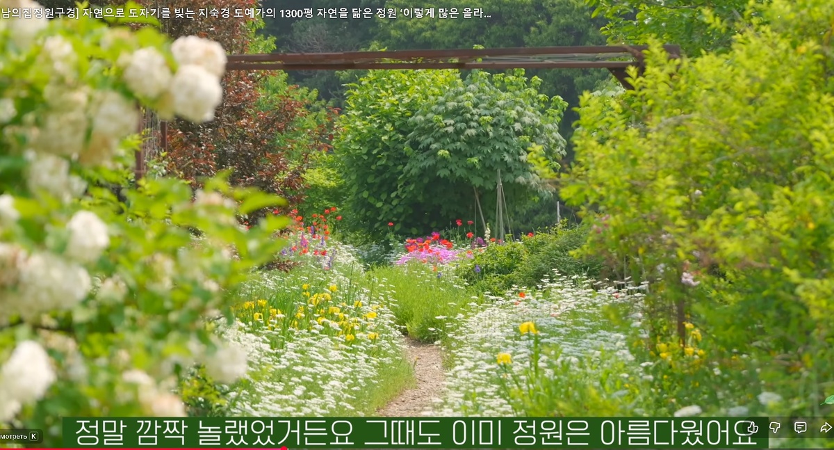 Скриншот из видеоролика о корейском саде с орлайей