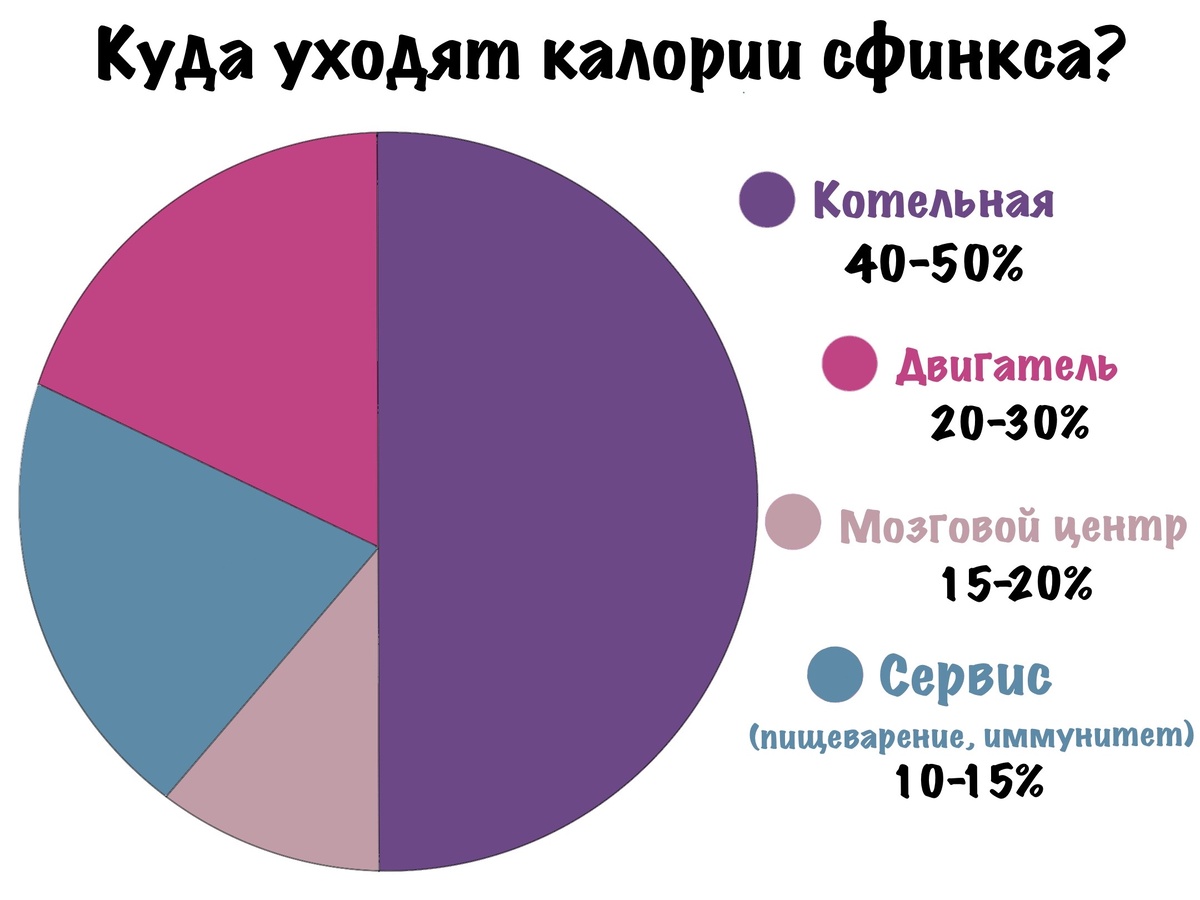 Топливная карта сфинкса. Куда уходят калории вашего живого радиатора? 