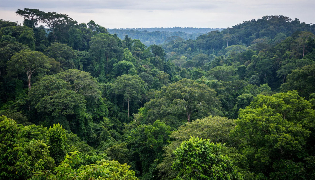 Картинка для статьи