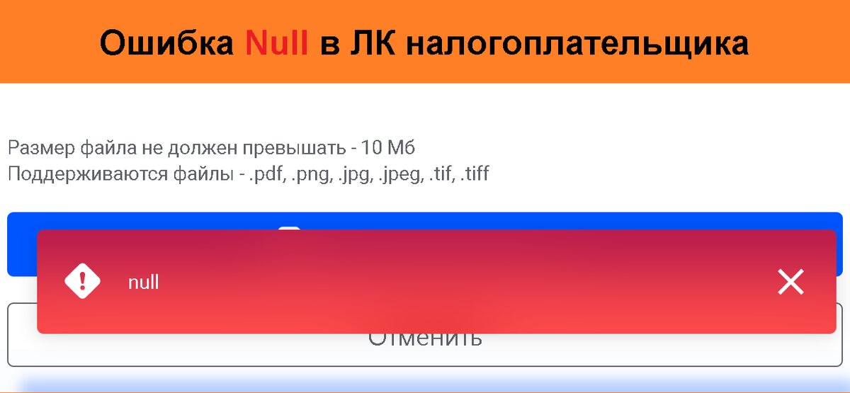 Ошибка Null в личном кабинете налогоплательщика при загрузке документов