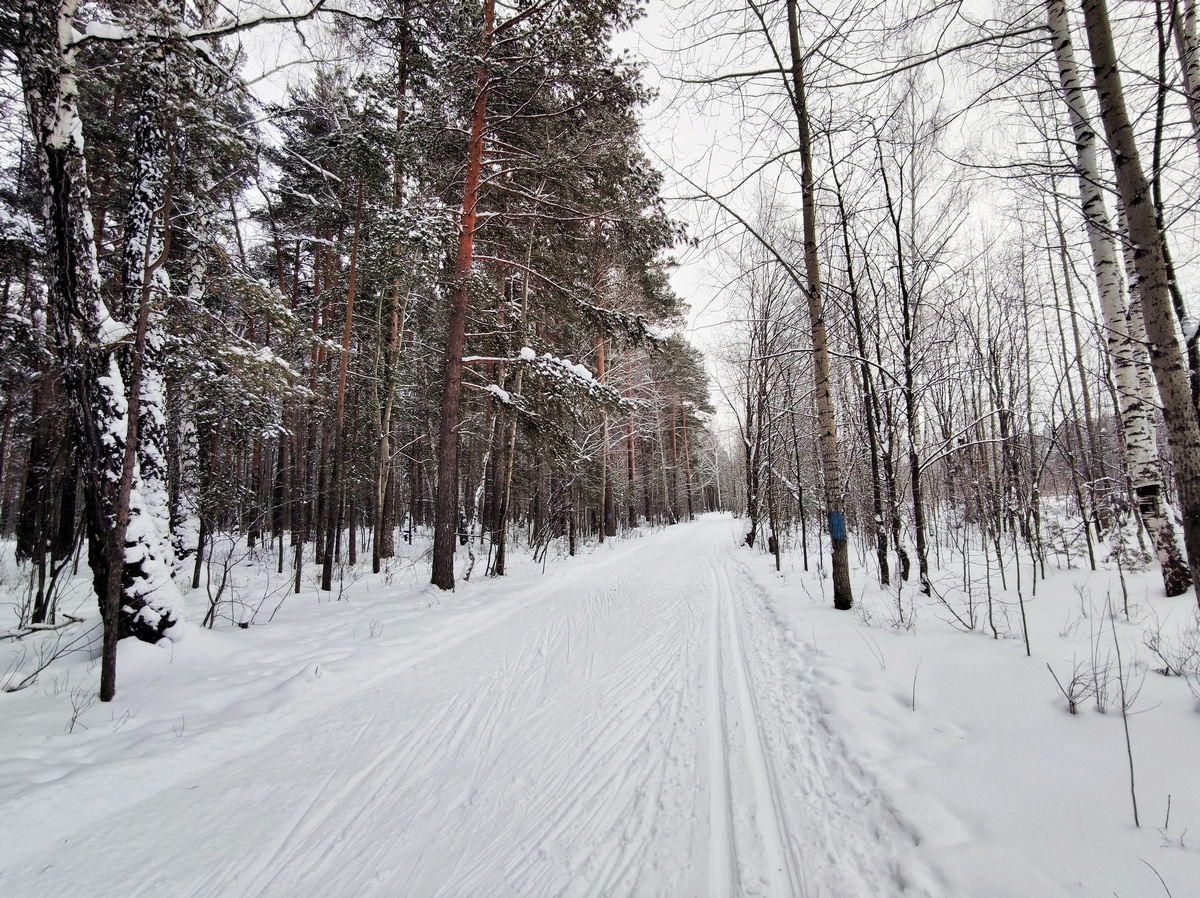 Один из любимых парков для лыжных прогулок💙