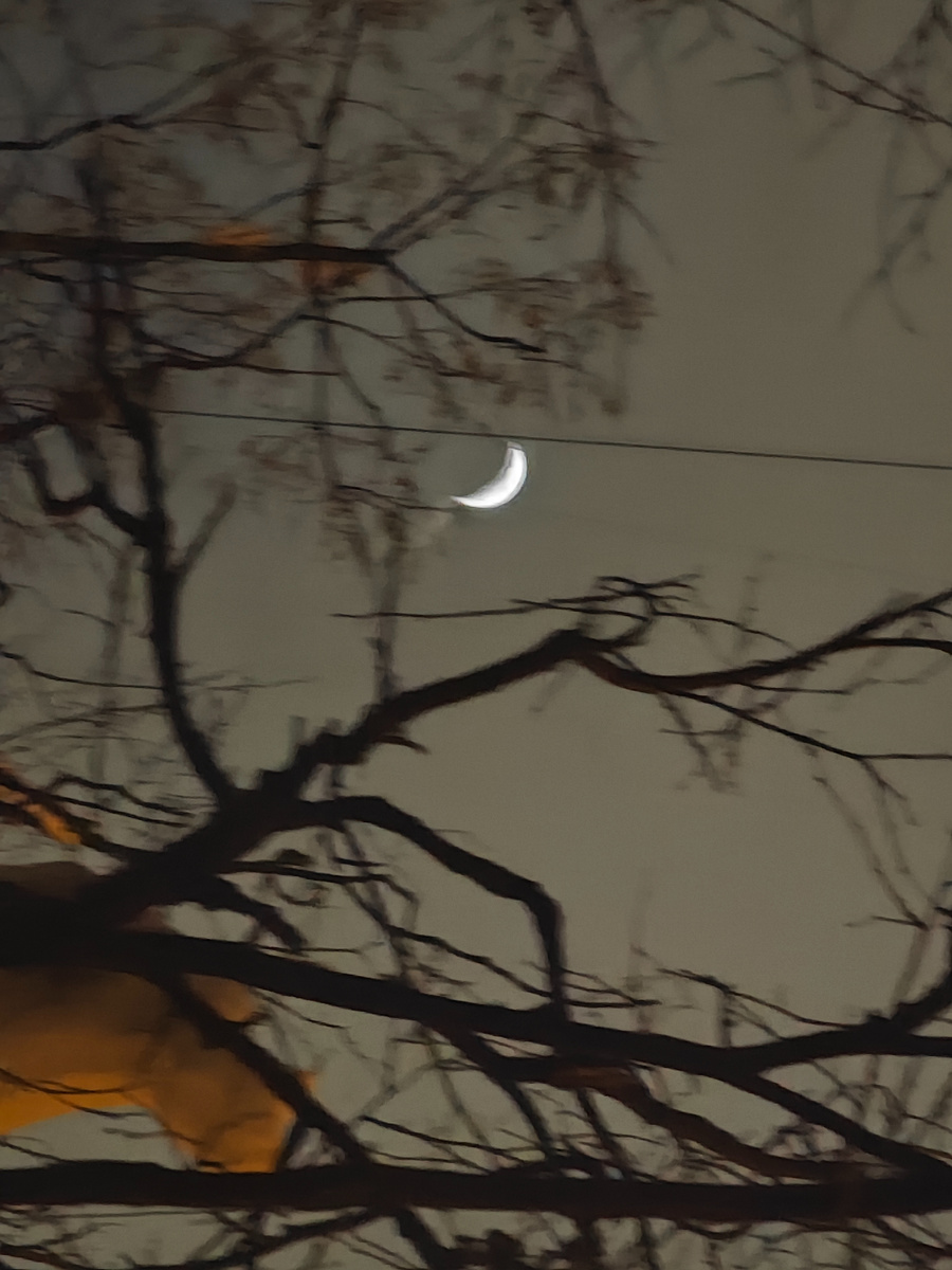 Совместное фото сына и автора канала 