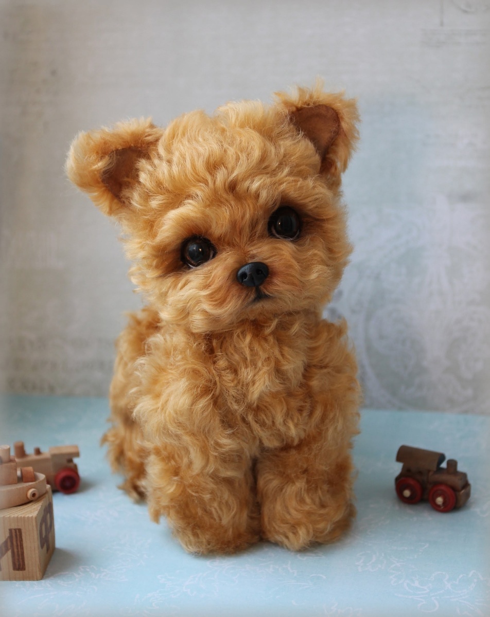 Йорочка Керри