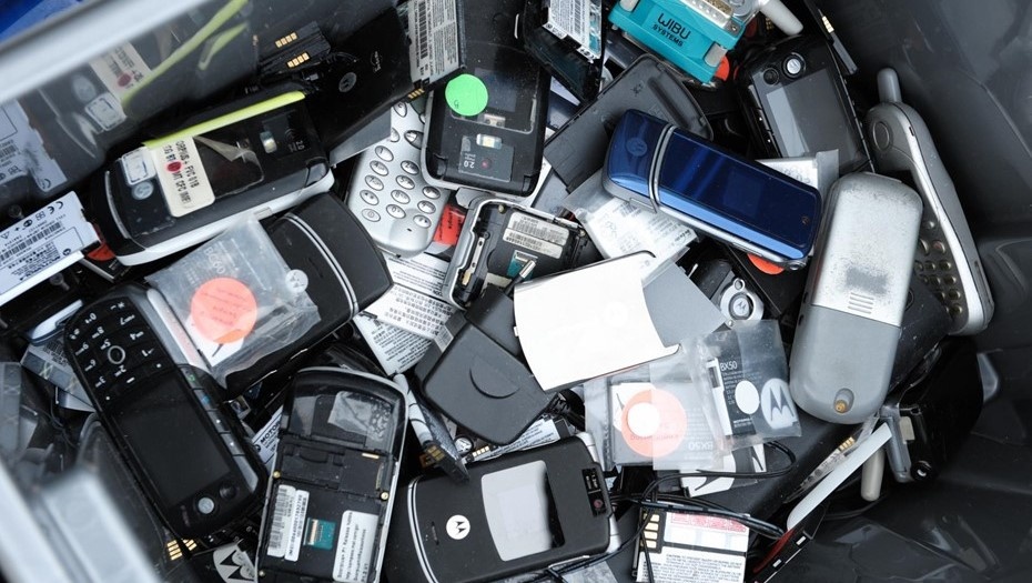 Автор фото: Павел Долганов / Trend