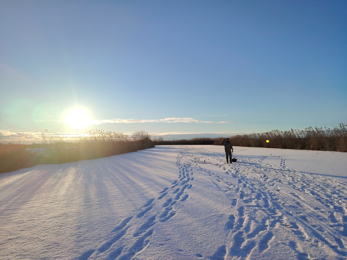Мороз и солнце день чудесный