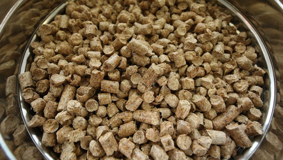 Автор фото: Владимир Смирнов / ИТАР-ТАСС