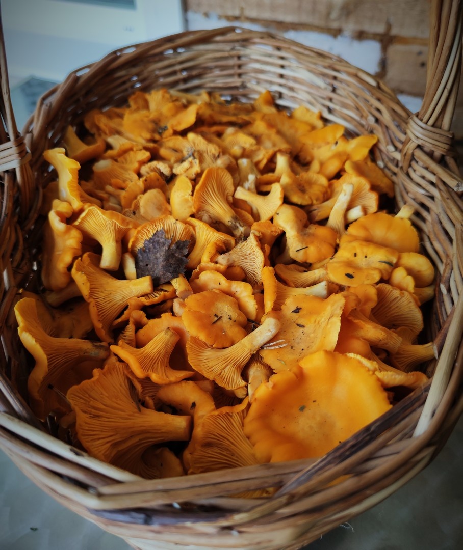 серия фото автора