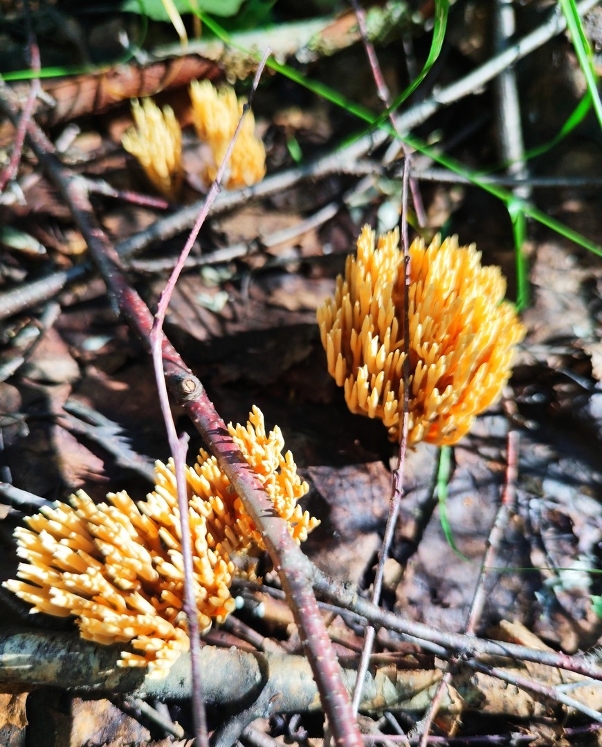 серия фото автора