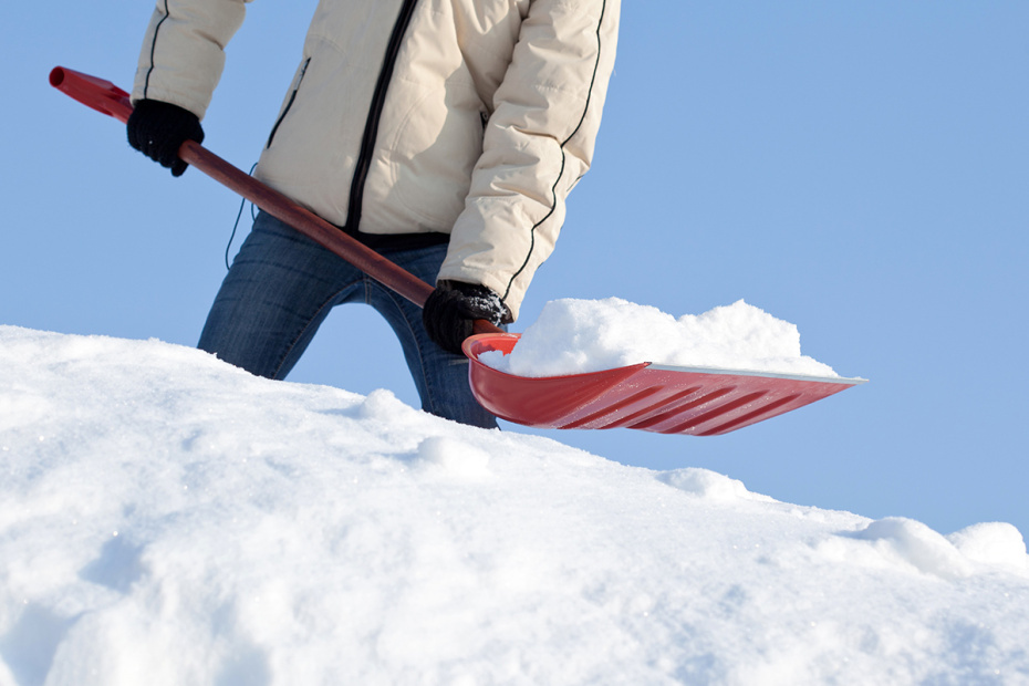    Shutterstock/FOTODOM