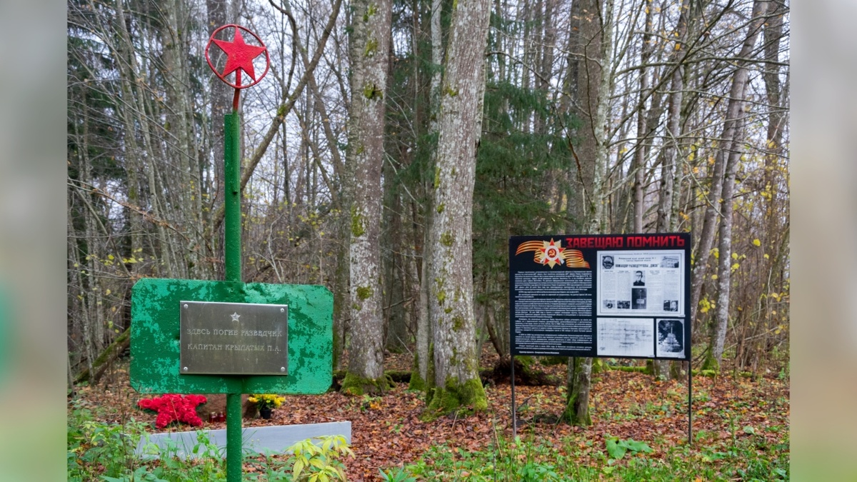 Памятник на месте гибели командира разведгруппы "Джек" Павла Крылатых, 2025 г.