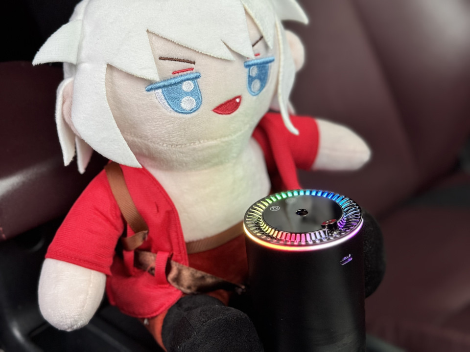 И с ним сегодня поможет мой новый помощник, а ныне постоянный житель моего авто: мини-Данте.