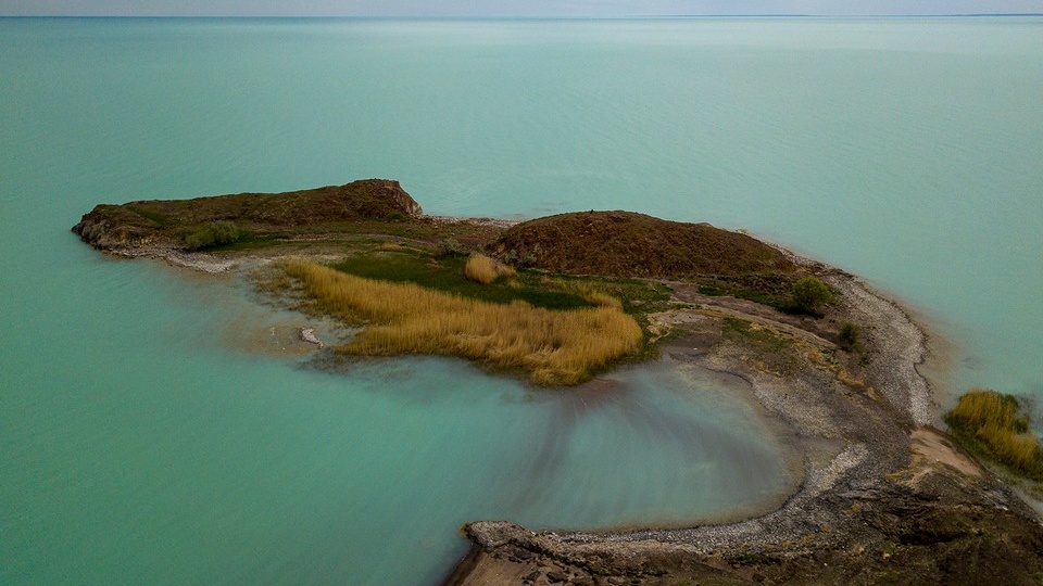 Раки в озере Балхаш появились после грандиозной гулянки: как Советская армия изменила экосистему древнейшего водоема